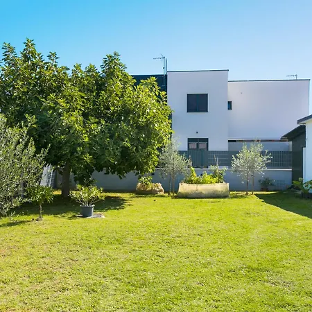 Apartman Radic - A2 First Floor - Mpolo *